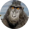 chris palfrey Avatar